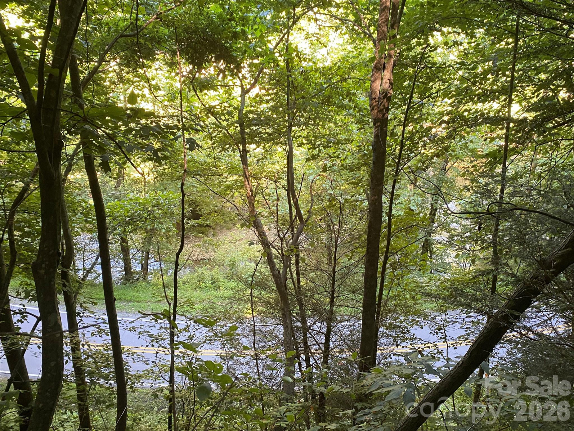 0000 Big Laurel Road - Photo 9