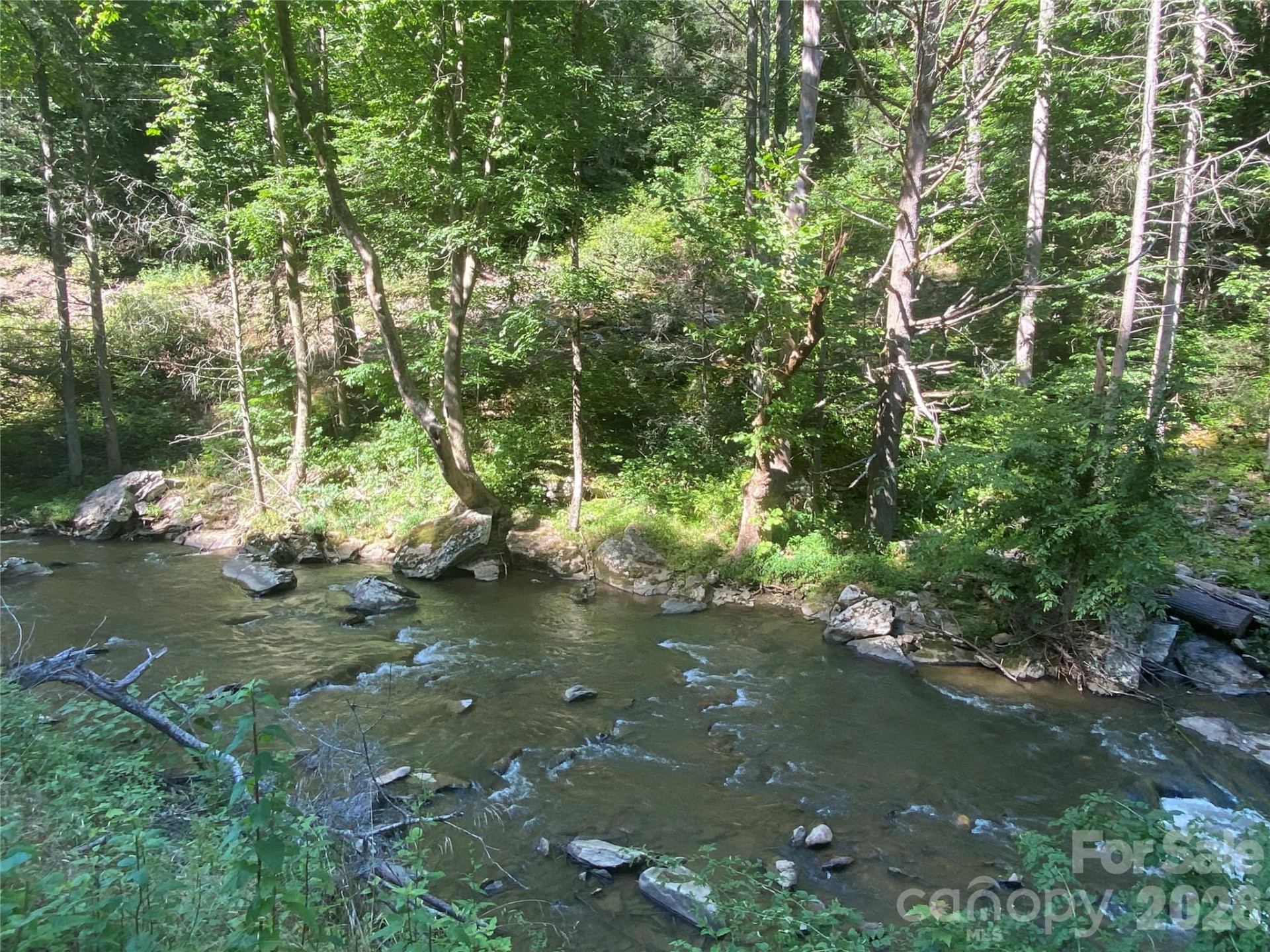 0000 Big Laurel Road - Photo 10