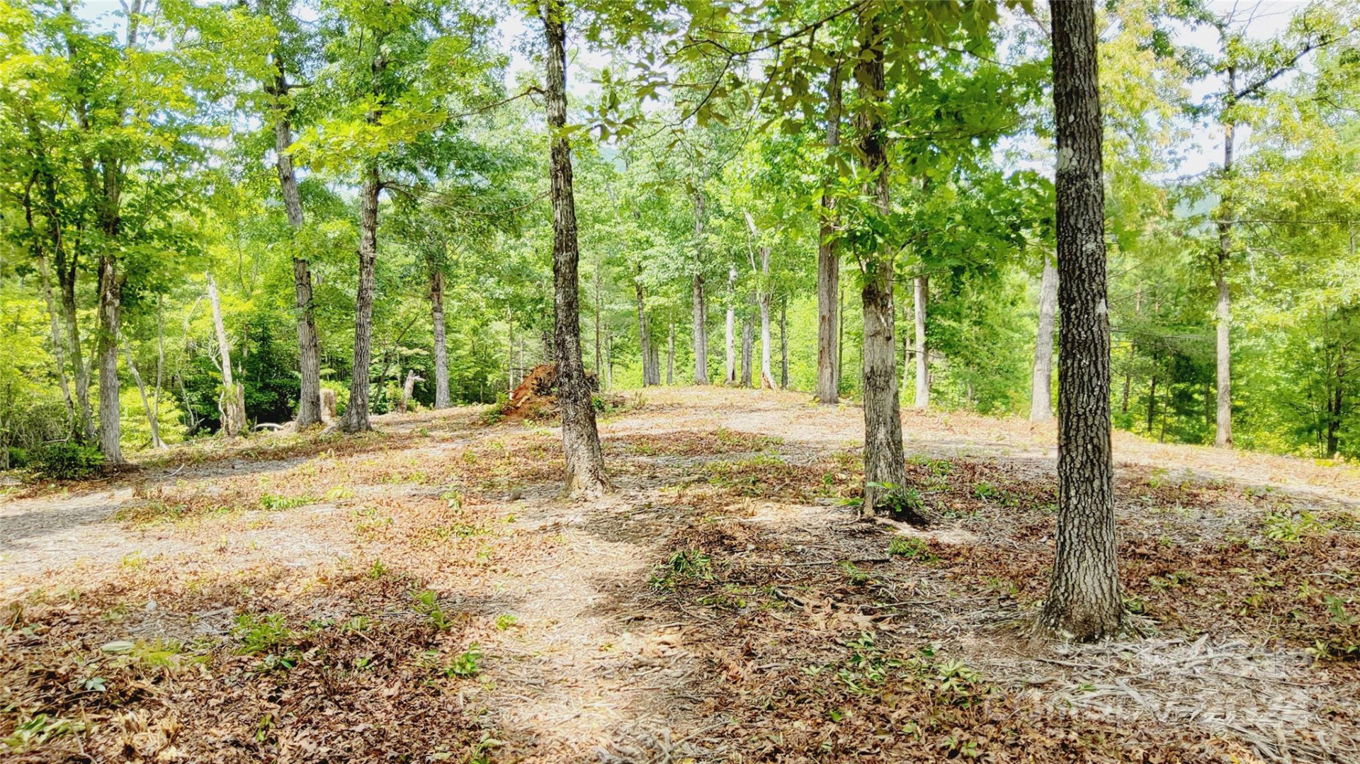 00 Wambli Pass #20 & 21 - Photo 11