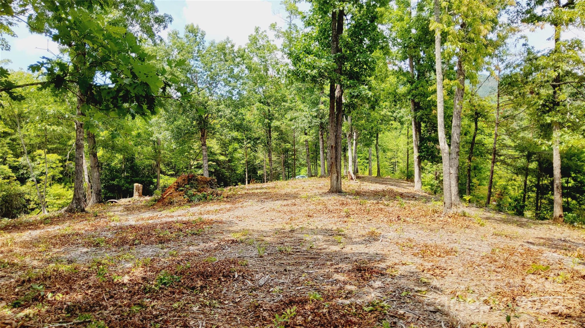 00 Wambli Pass #20 & 21 - Photo 12