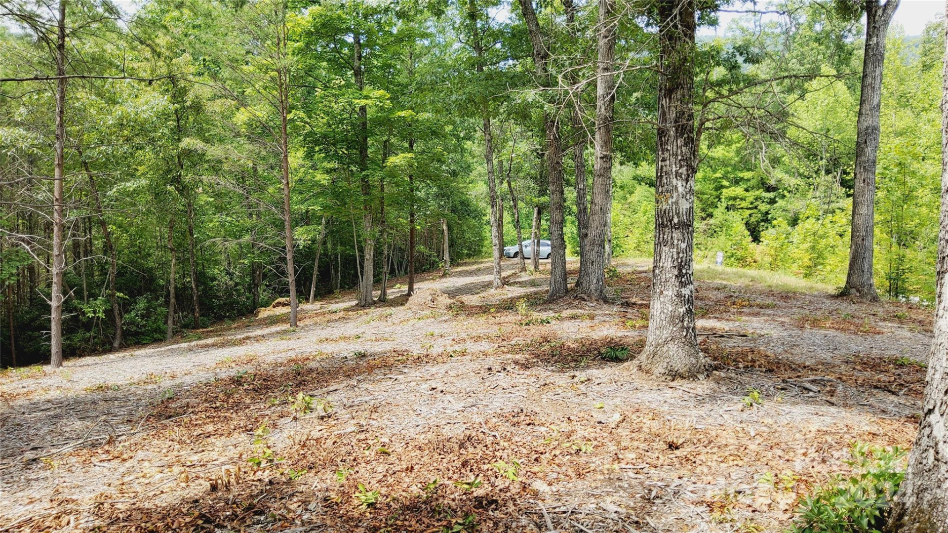 00 Wambli Pass #20 & 21 - Photo 13