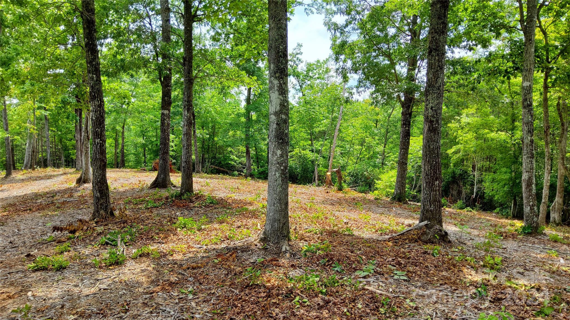 00 Wambli Pass #20 & 21 - Photo 14