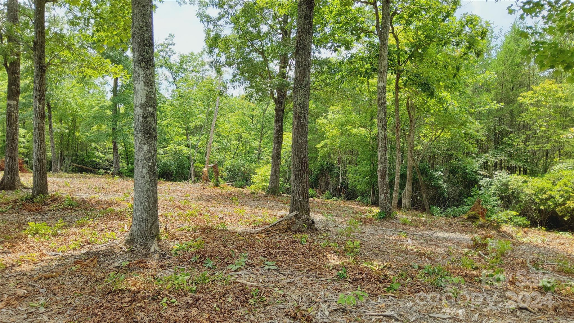 00 Wambli Pass #20 & 21 - Photo 15