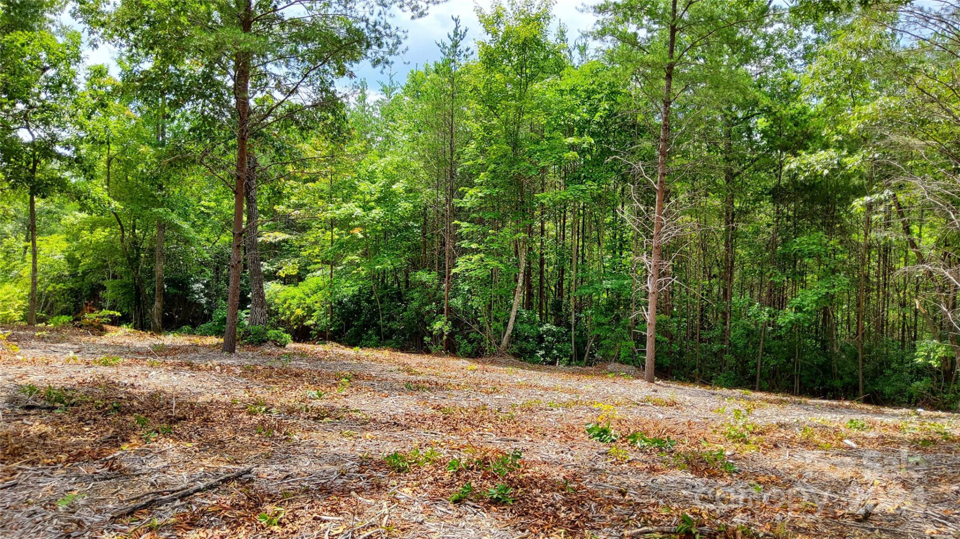 00 Wambli Pass #20 & 21 - Photo 16