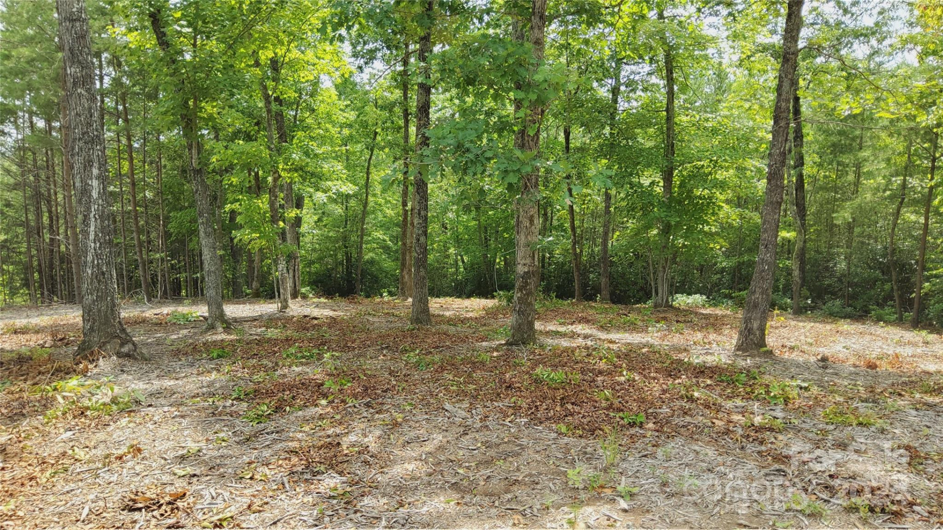 00 Wambli Pass #20 & 21 - Photo 17