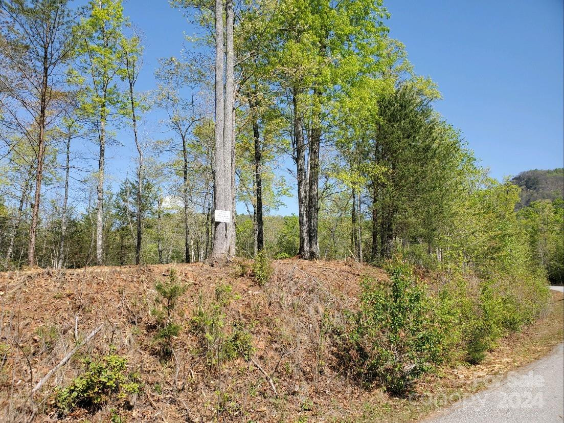 00 Wambli Pass #20 & 21 - Photo 18