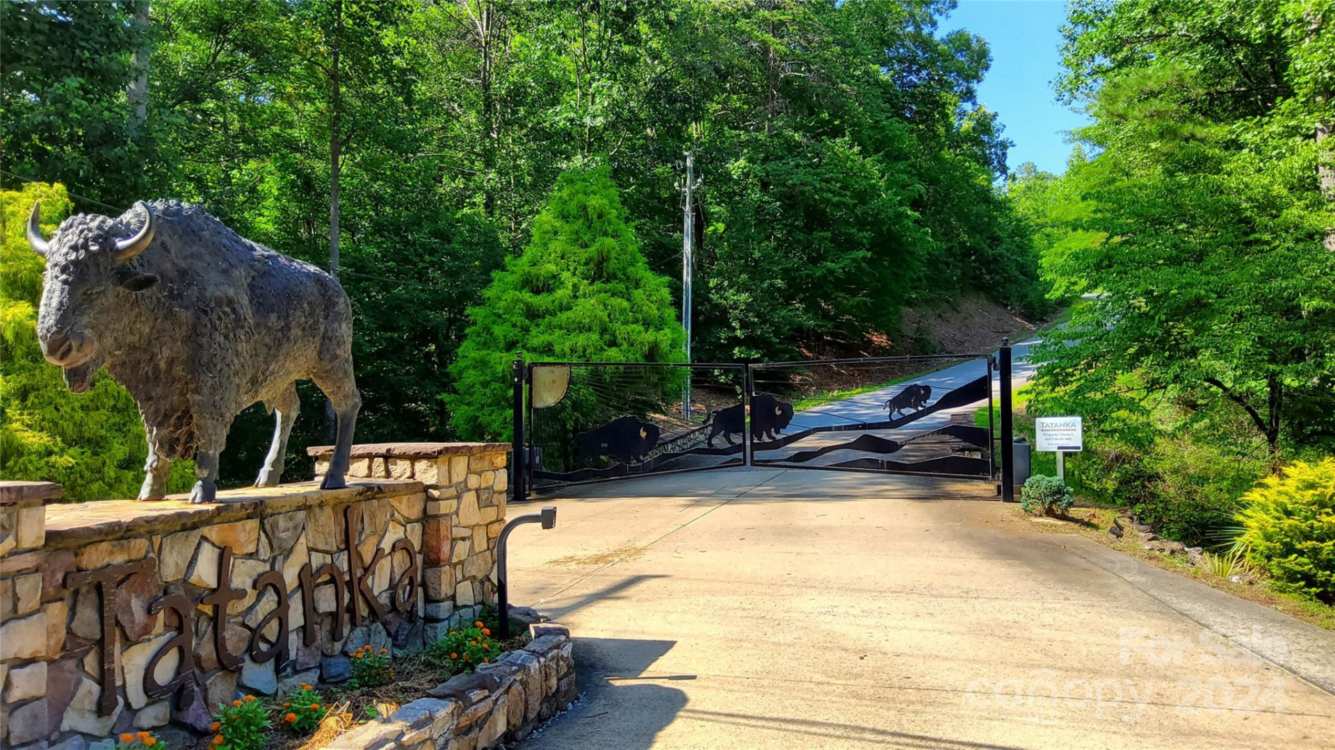 00 Wambli Pass #20 & 21 - Photo 3