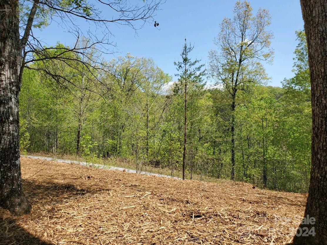 00 Wambli Pass #20 & 21 - Photo 25