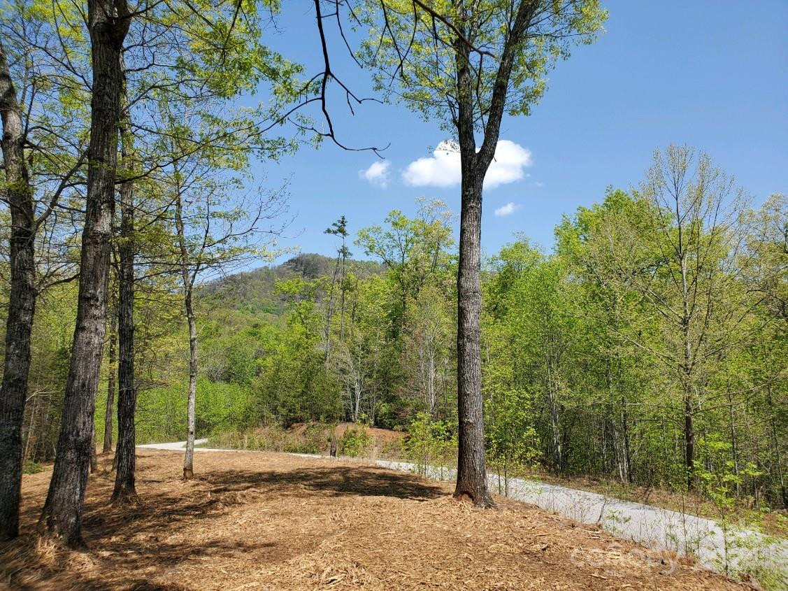 00 Wambli Pass #20 & 21 - Photo 26