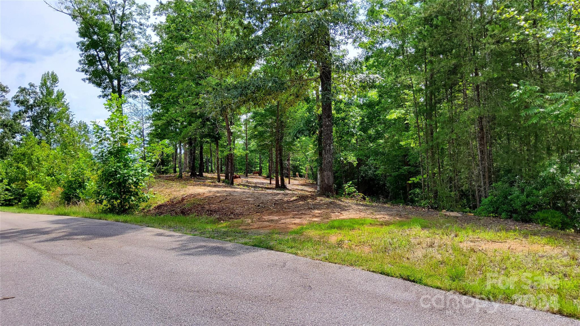 00 Wambli Pass #20 & 21 - Photo 4