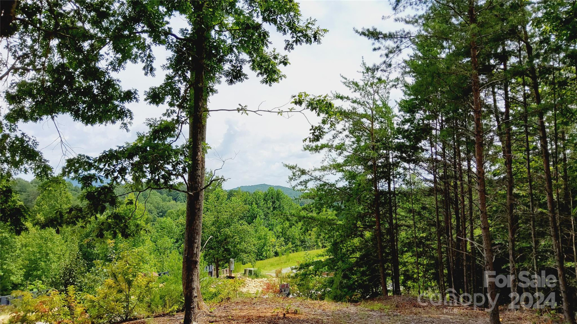 00 Wambli Pass #20 & 21 - Photo 32