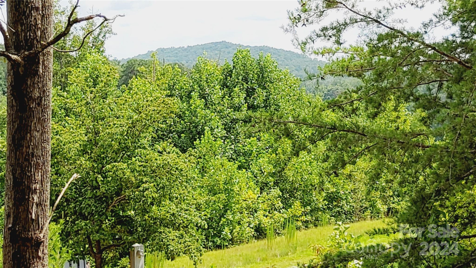 00 Wambli Pass #20 & 21 - Photo 33