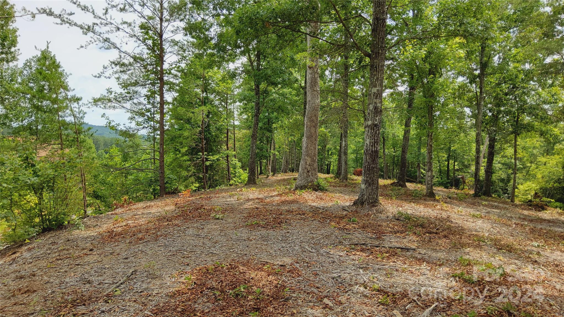 00 Wambli Pass #20 & 21 - Photo 36