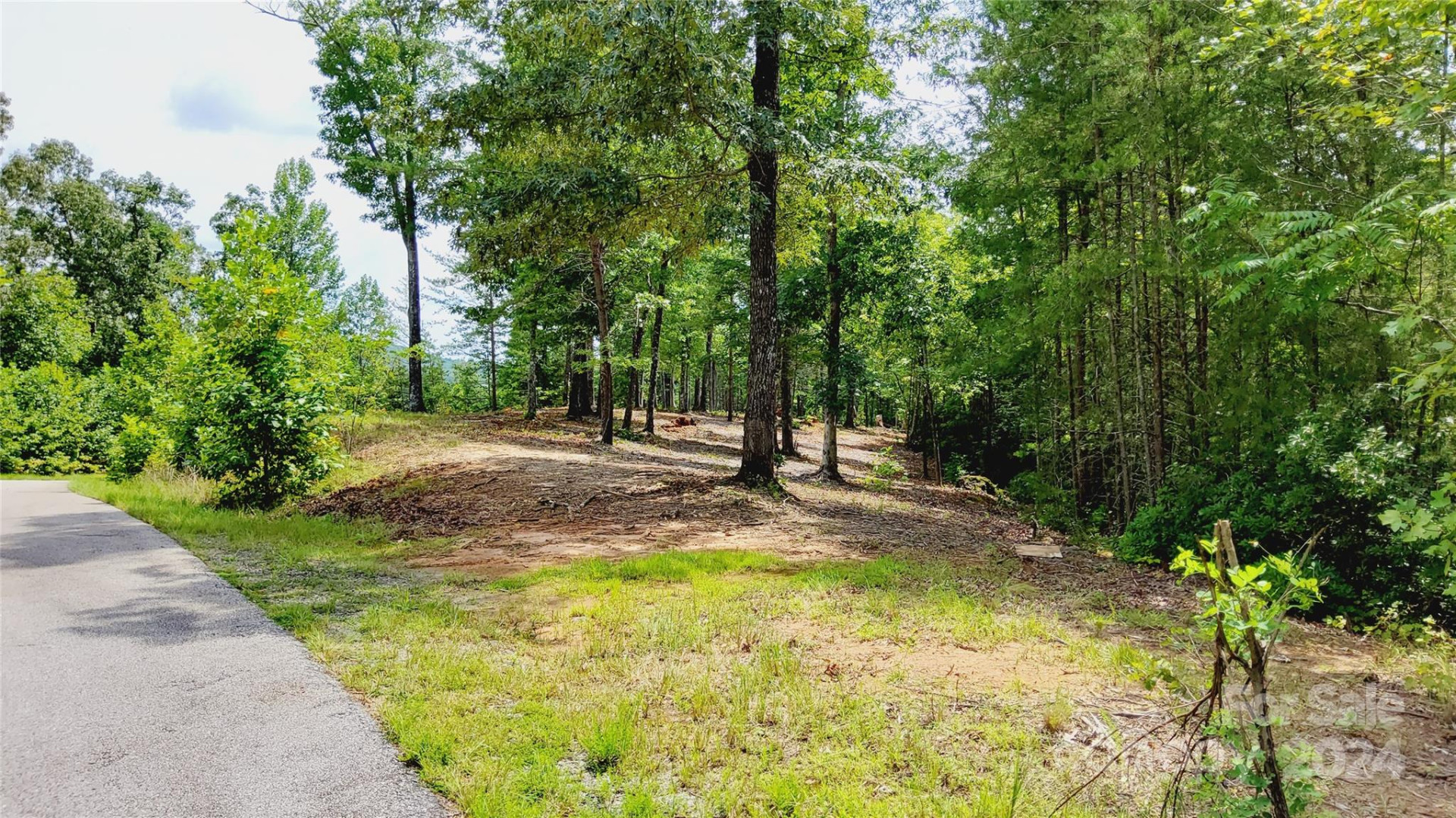 00 Wambli Pass #20 & 21 - Photo 5