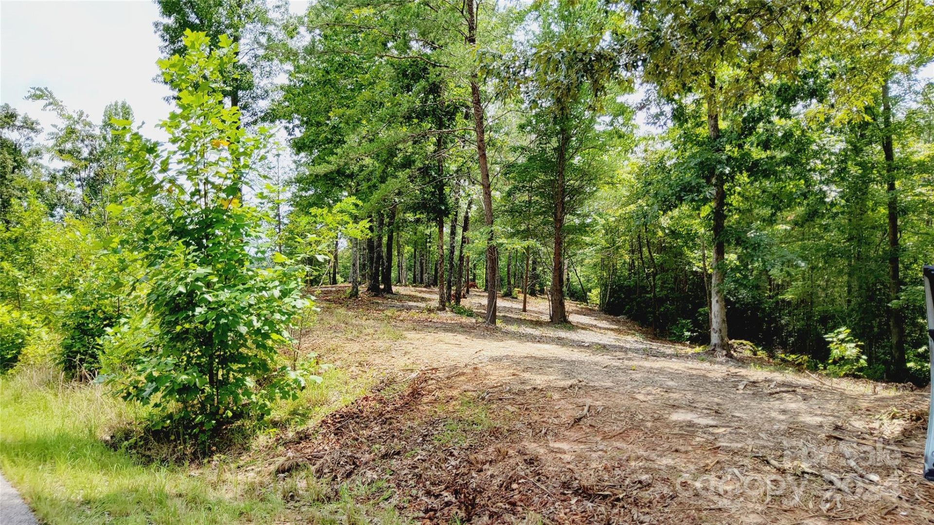 00 Wambli Pass #20 & 21 - Photo 6