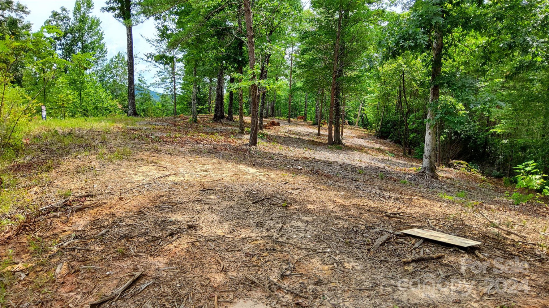 00 Wambli Pass #20 & 21 - Photo 7