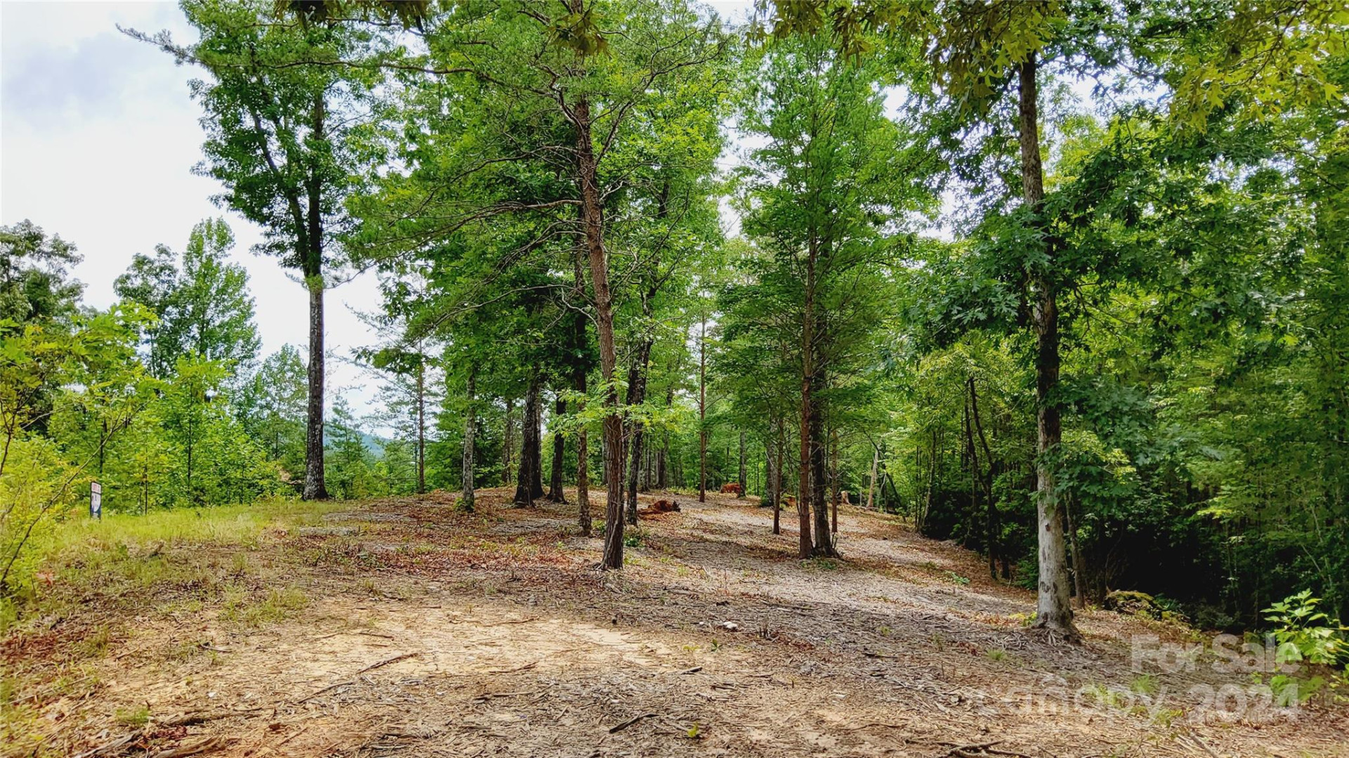 00 Wambli Pass #20 & 21 - Photo 8