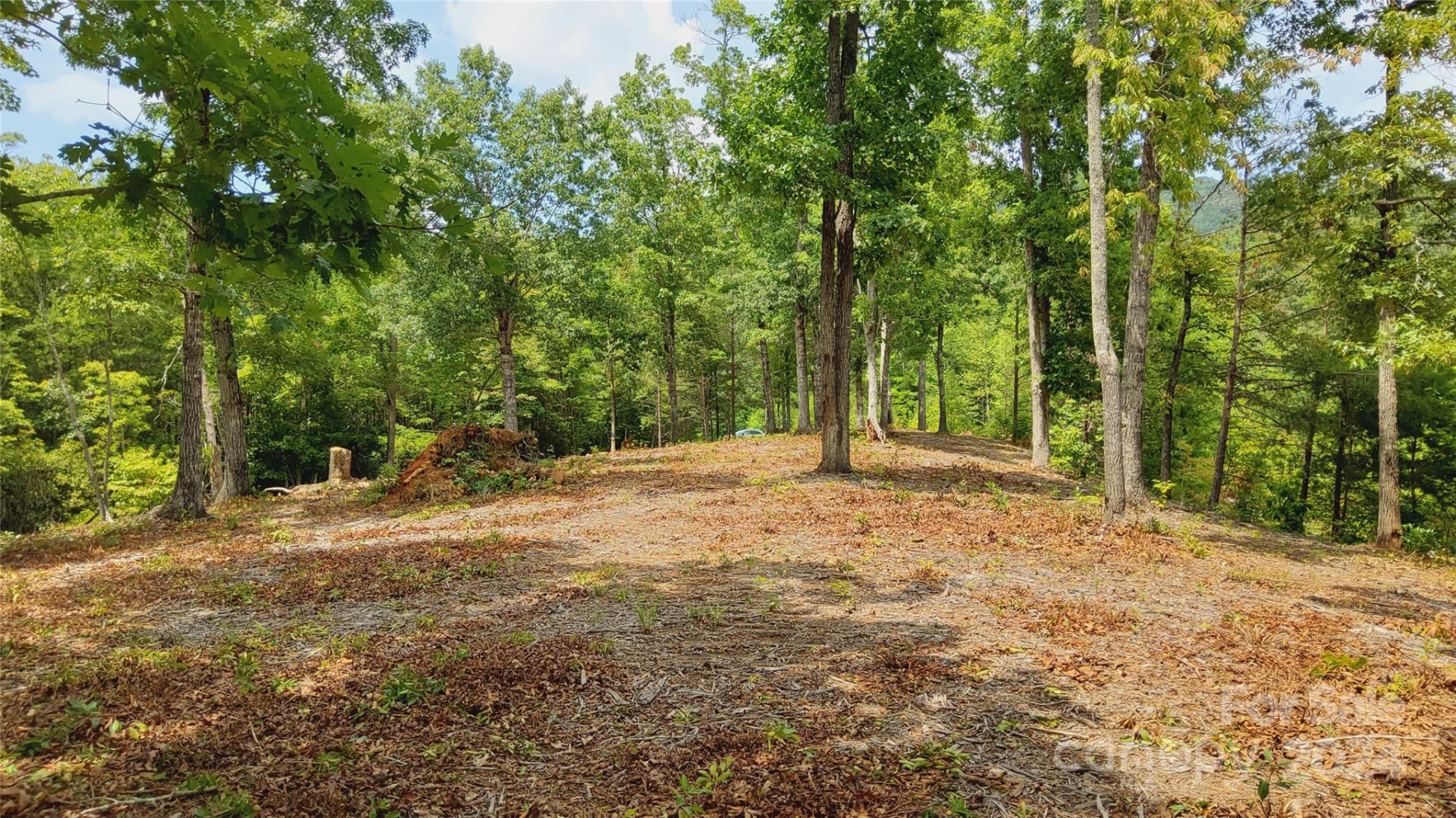 00 Wambli Pass #20 & 21 - Photo 9