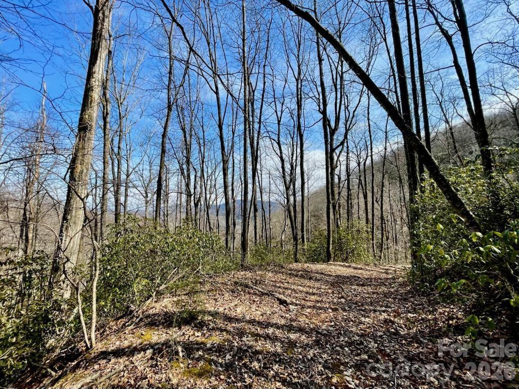 10.02 Acres TBD Rock Garden Road - Photo 2