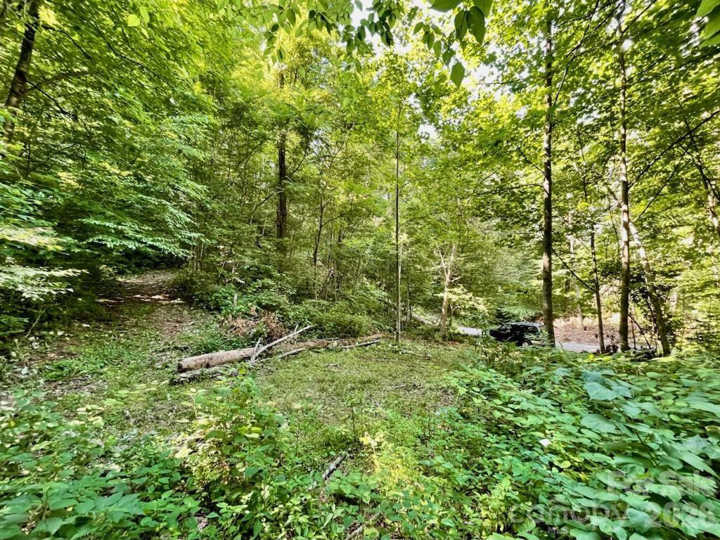 10.02 Acres TBD Rock Garden Road - Photo 11