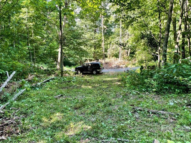 10.02 Acres TBD Rock Garden Road - Photo 12