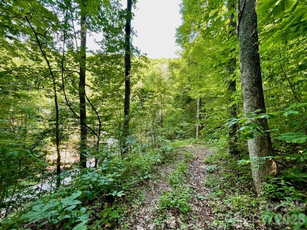 10.02 Acres TBD Rock Garden Road - Photo 13