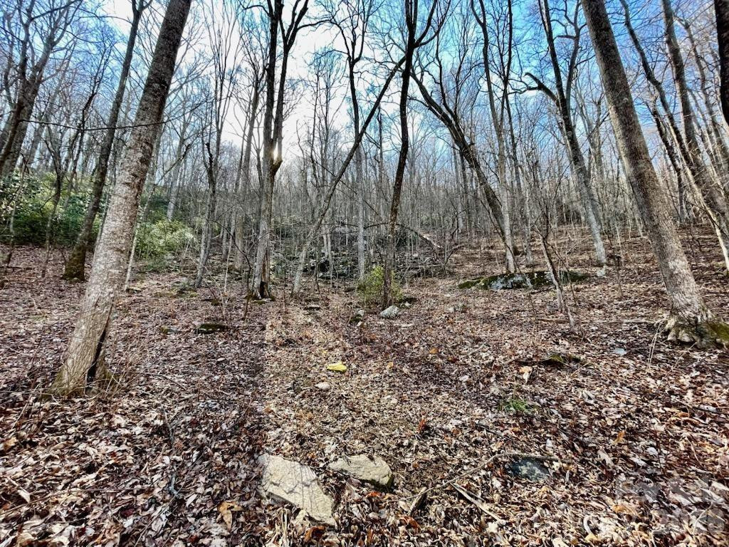 10.02 Acres TBD Rock Garden Road - Photo 14