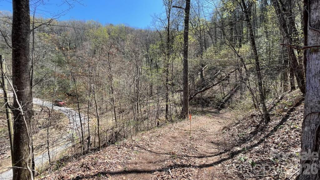 10.02 Acres TBD Rock Garden Road - Photo 15