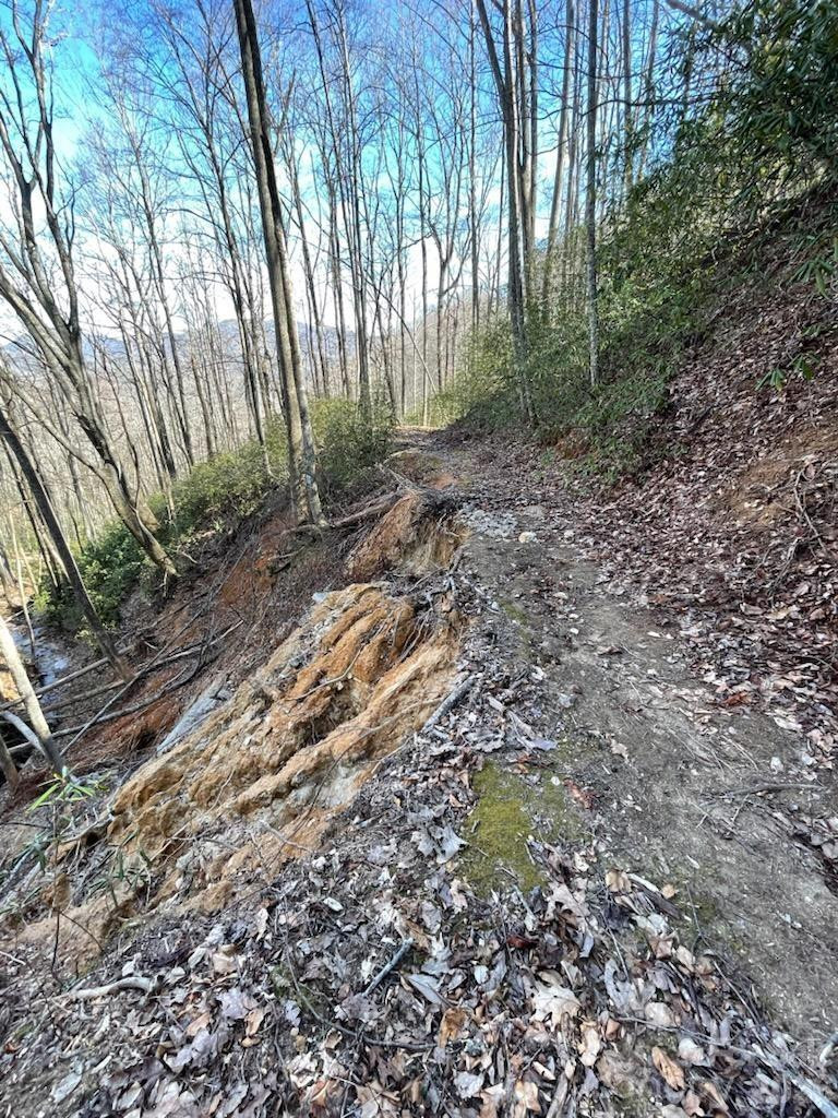 10.02 Acres TBD Rock Garden Road - Photo 16