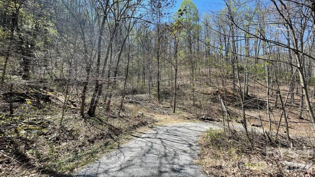 10.02 Acres TBD Rock Garden Road - Photo 17