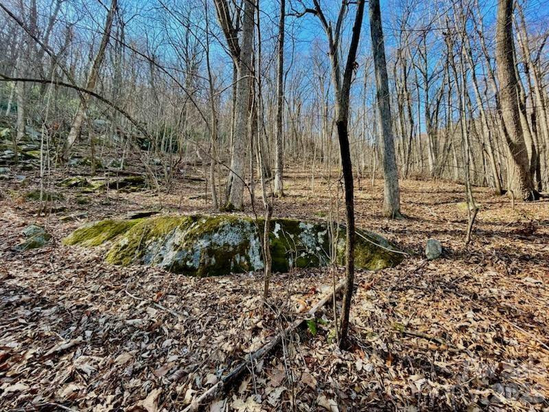 10.02 Acres TBD Rock Garden Road - Photo 4