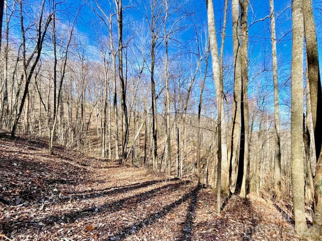 10.02 Acres TBD Rock Garden Road - Photo 5