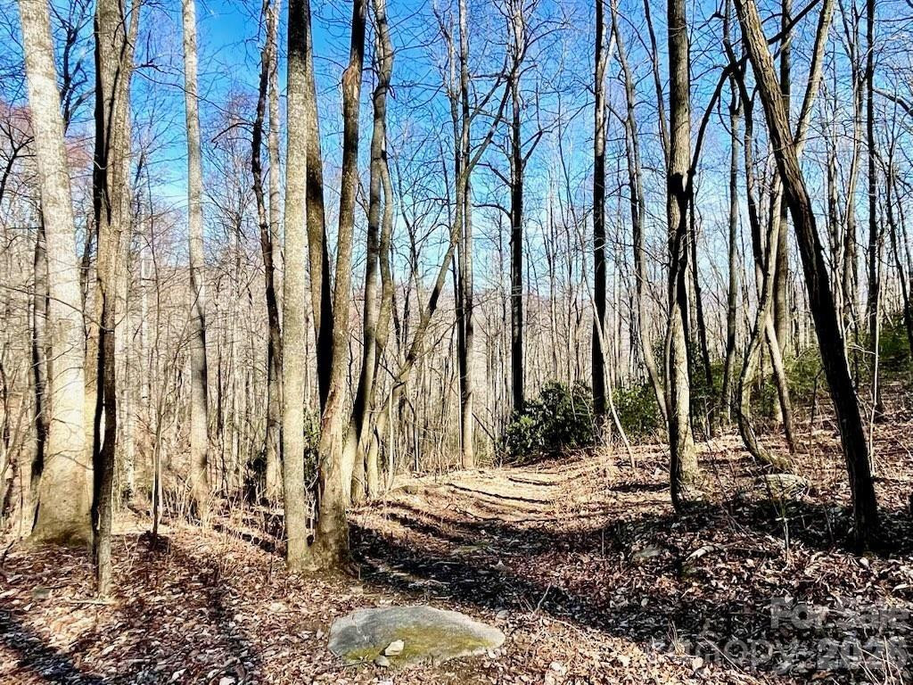 10.02 Acres TBD Rock Garden Road - Photo 6