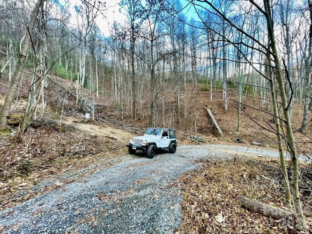 10.02 Acres TBD Rock Garden Road - Photo 7