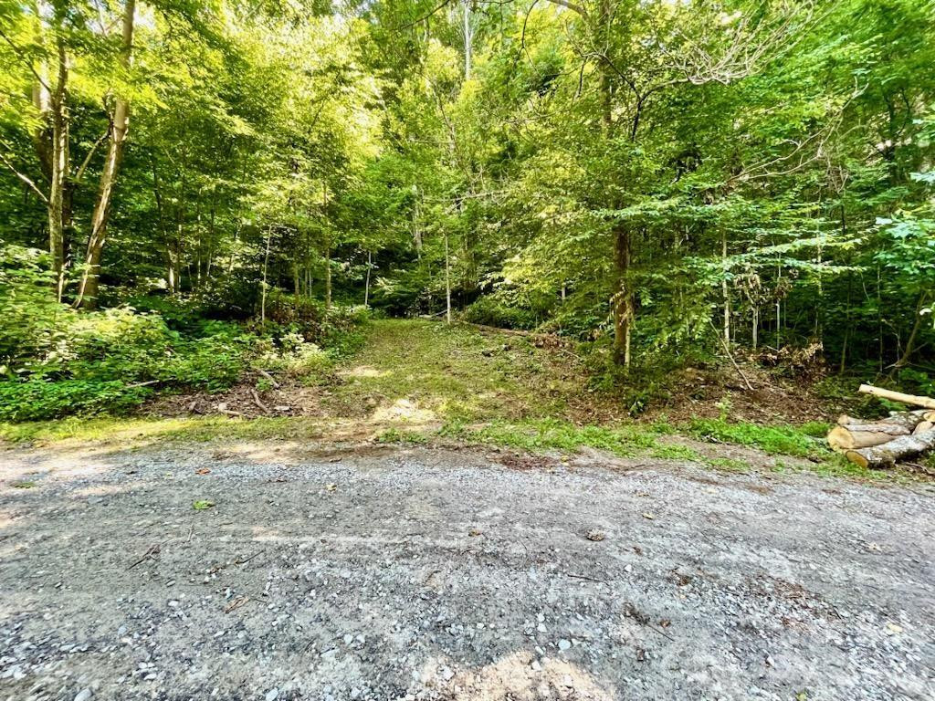 10.02 Acres TBD Rock Garden Road - Photo 9