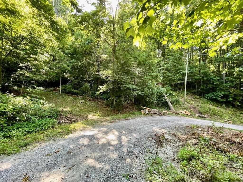 10.02 Acres TBD Rock Garden Road - Photo 10