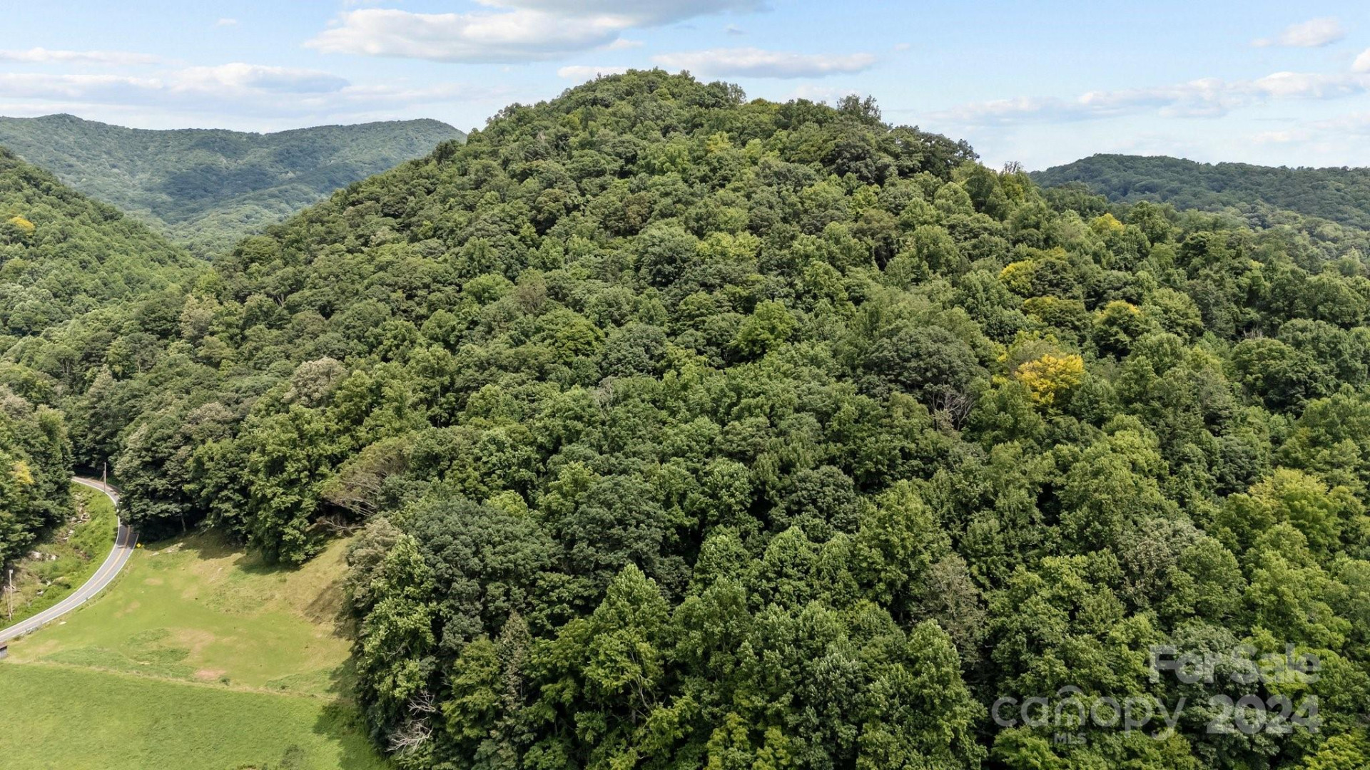 99999 Windswept Drive - Photo 4