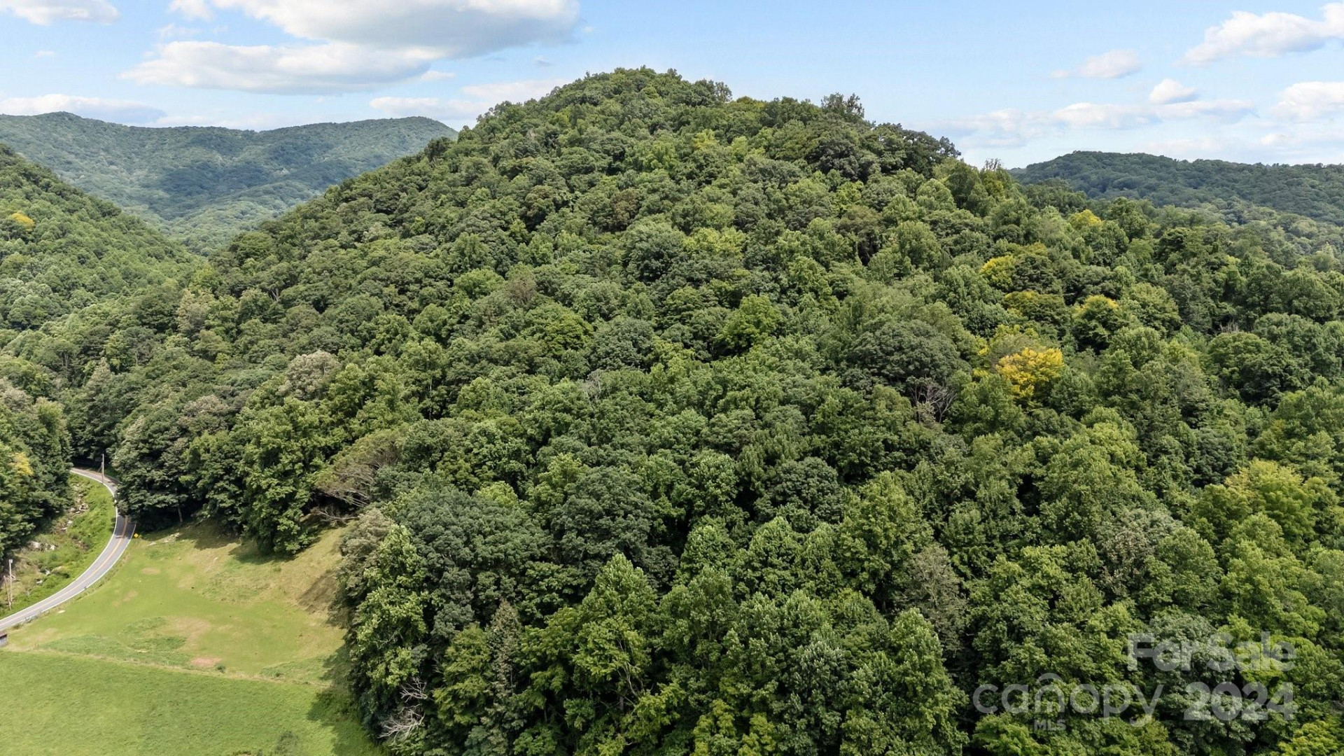 99999 Windswept Drive - Photo 5