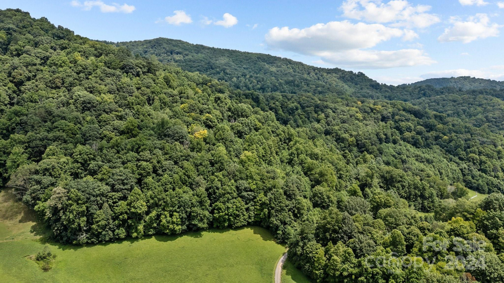 99999 Windswept Drive - Photo 9