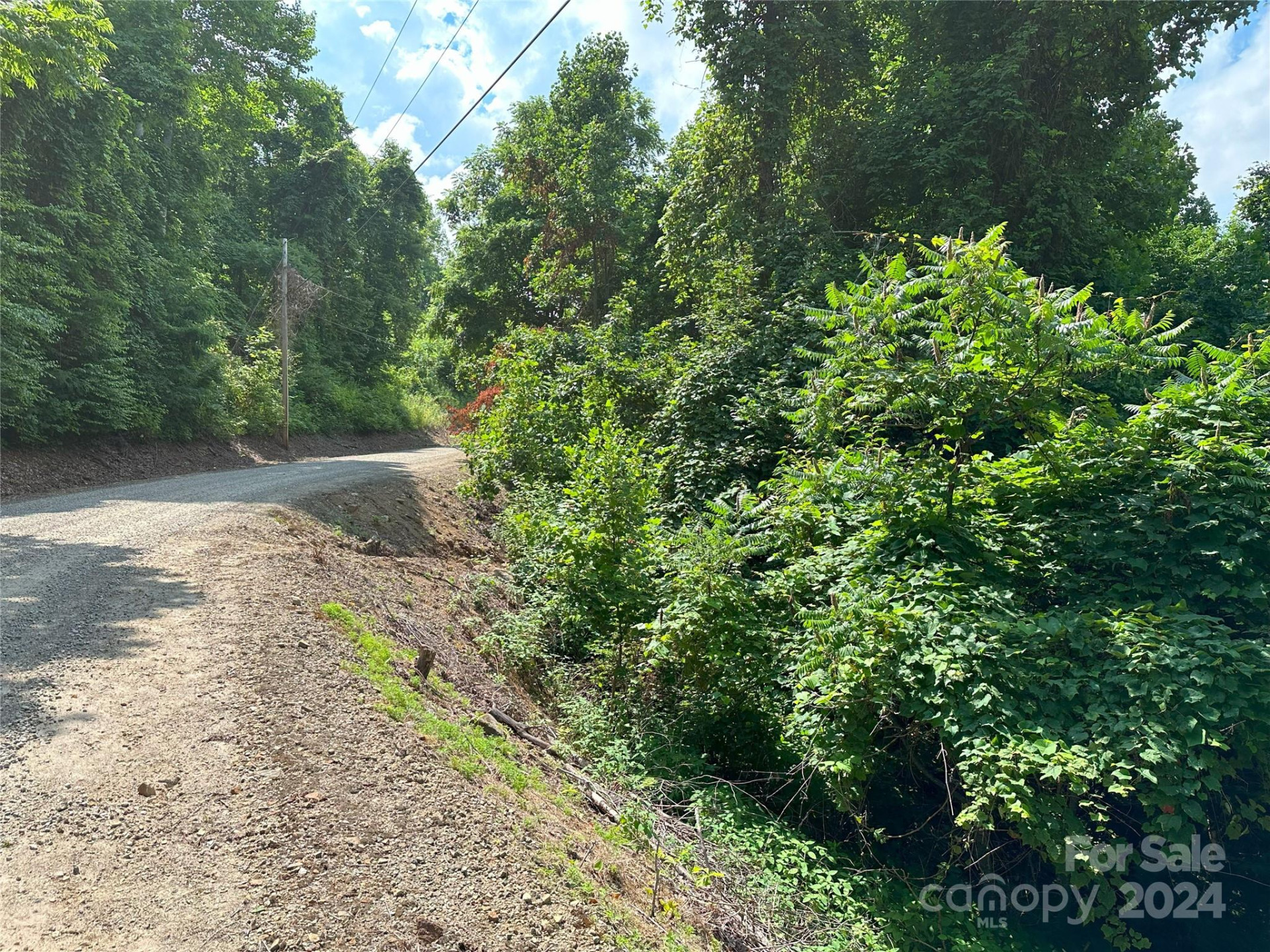 Lot 303 Slippery Rock Road - Photo 2