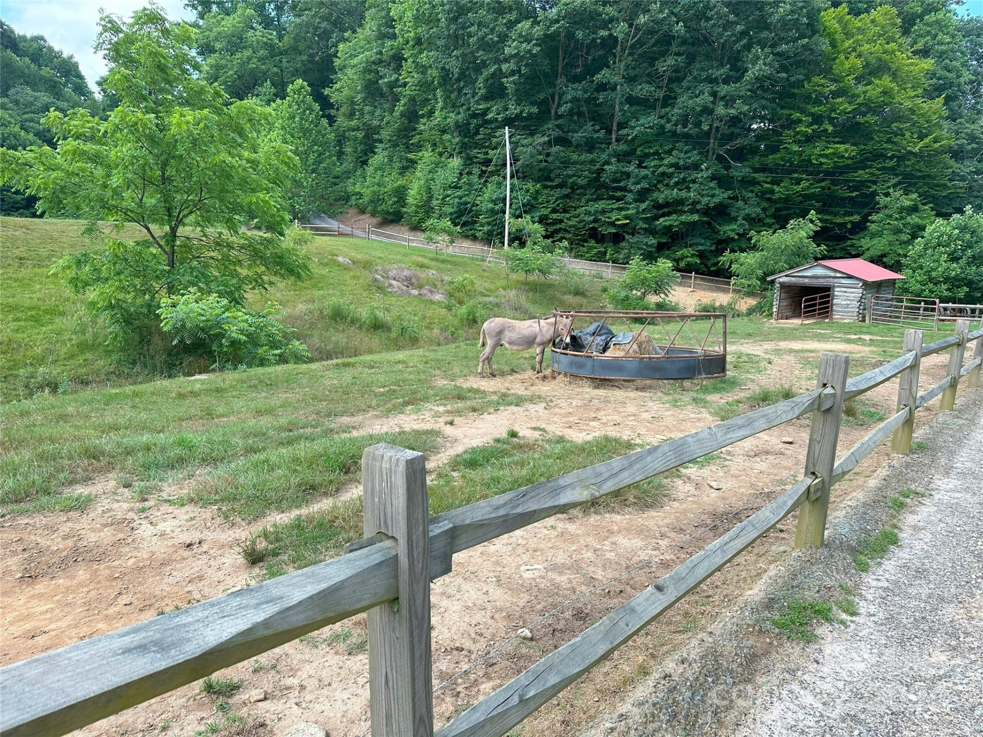 Lot 303 Slippery Rock Road - Photo 12