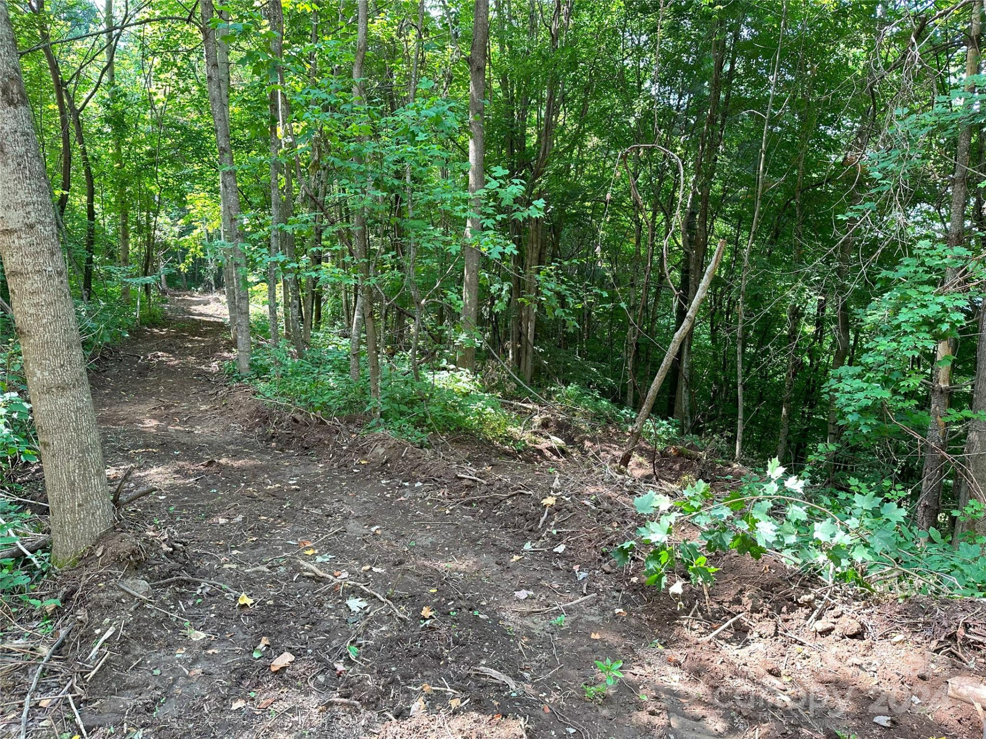 Lot 303 Slippery Rock Road - Photo 4