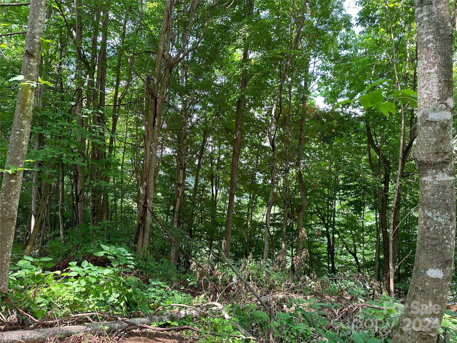 Lot 303 Slippery Rock Road - Photo 6