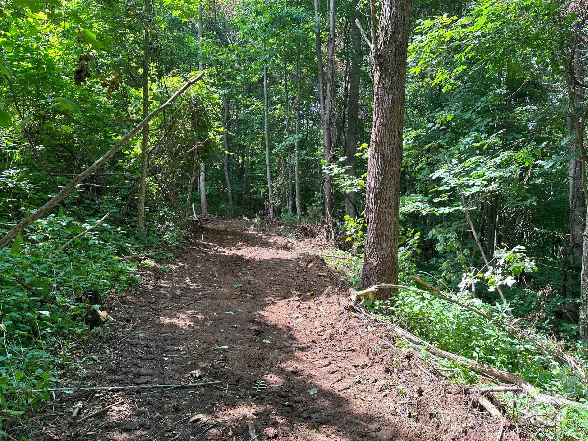 Lot 303 Slippery Rock Road - Photo 7