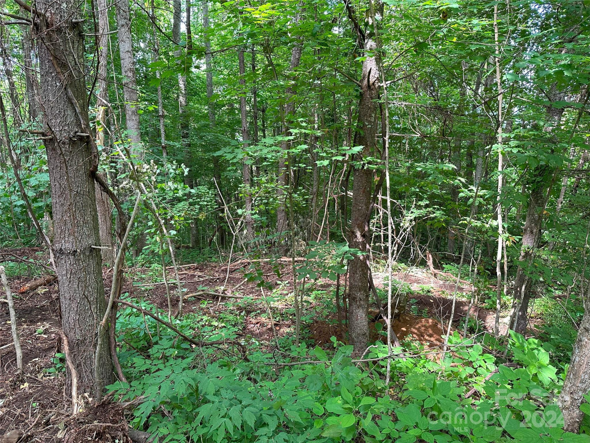 Lot 303 Slippery Rock Road - Photo 8