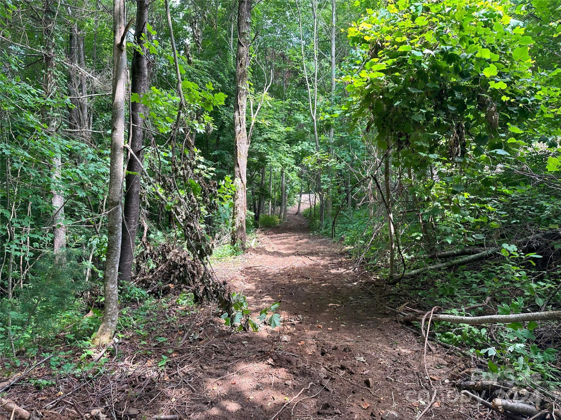 Lot 303 Slippery Rock Road - Photo 9