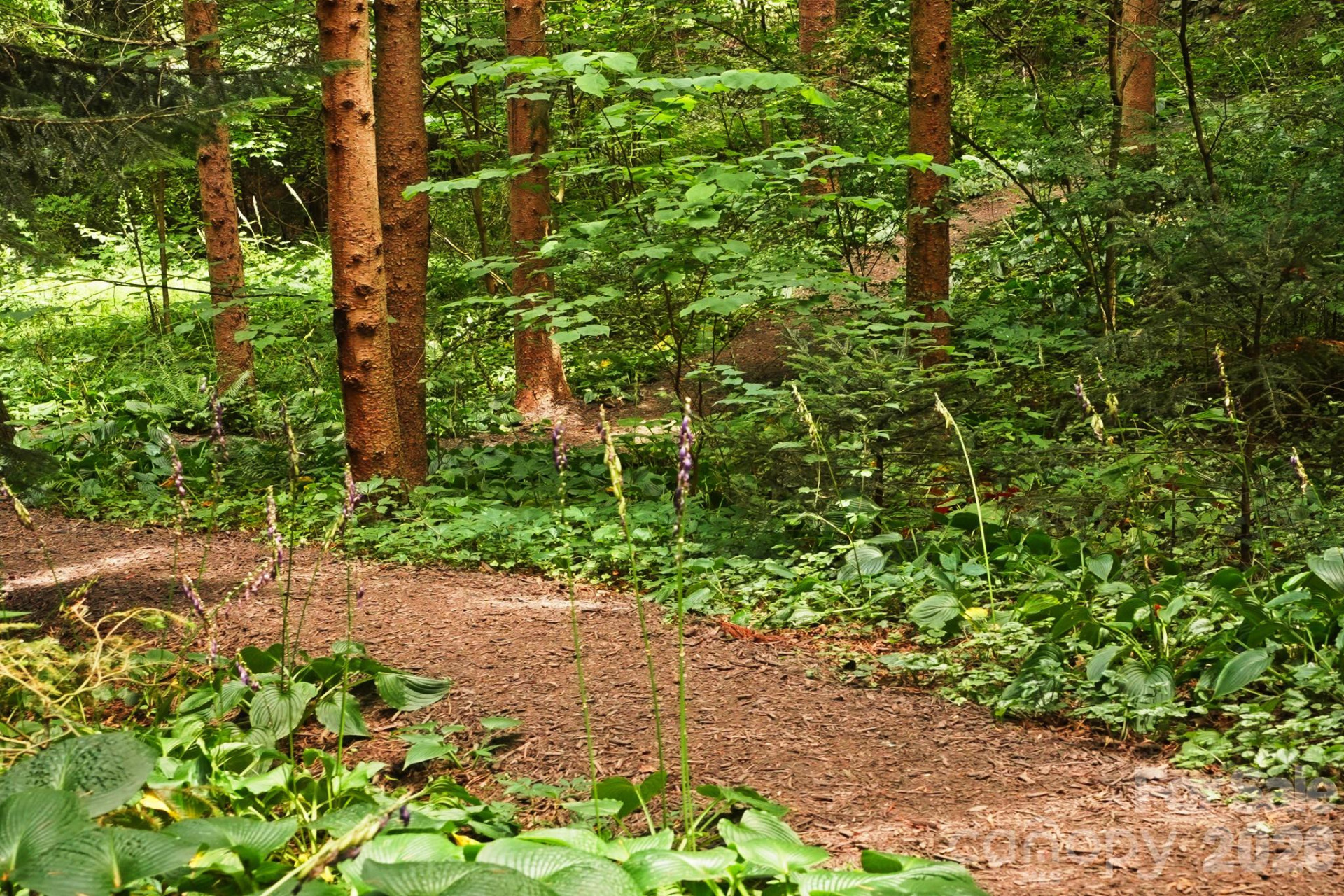 108 Lakewood Drive - Photo 73