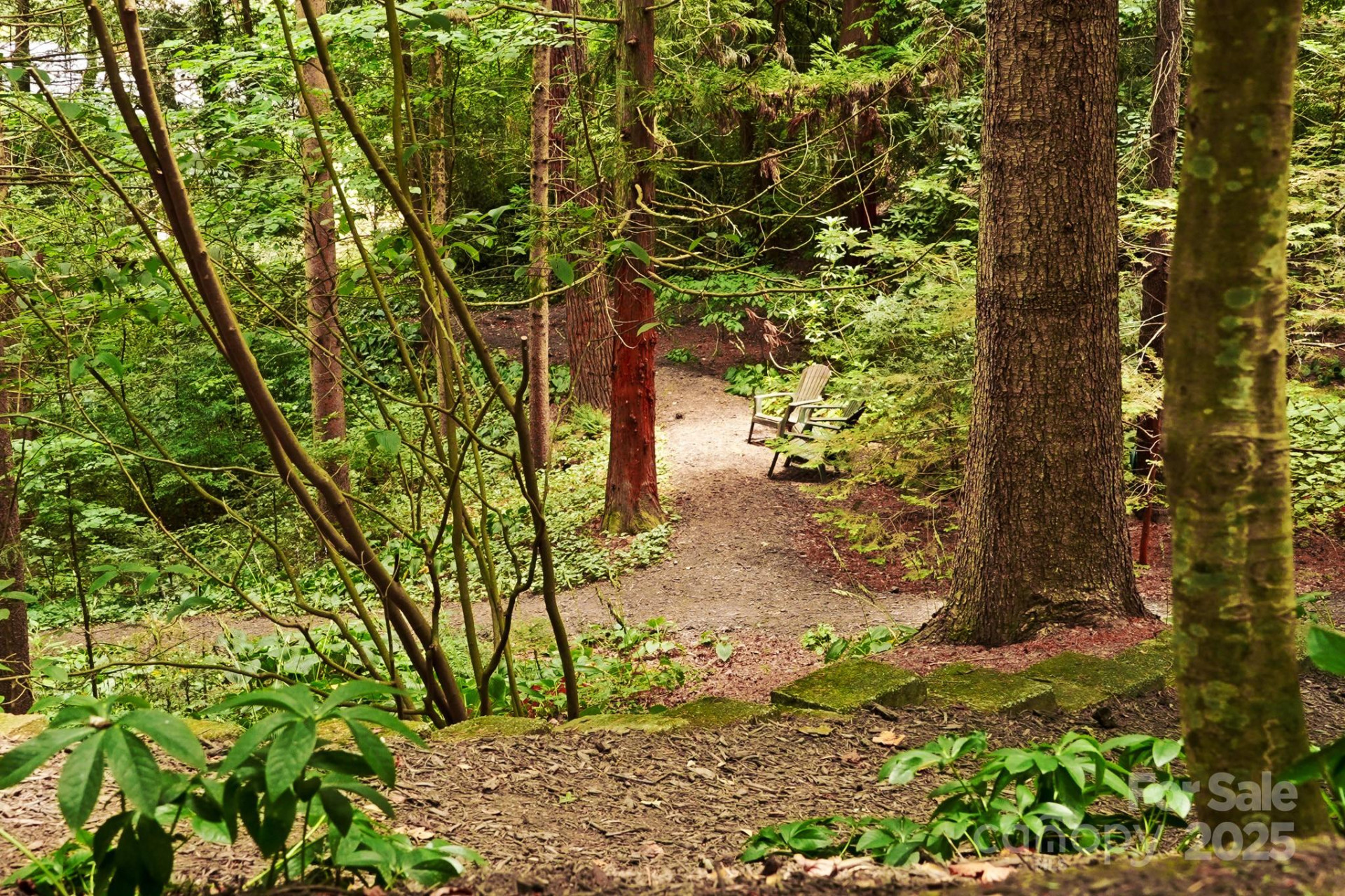 108 Lakewood Drive - Photo 81