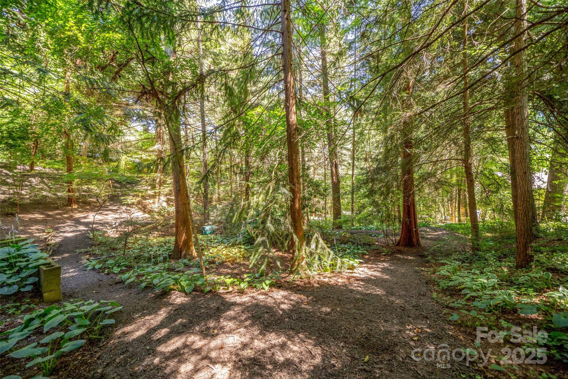 108 Lakewood Drive - Photo 83