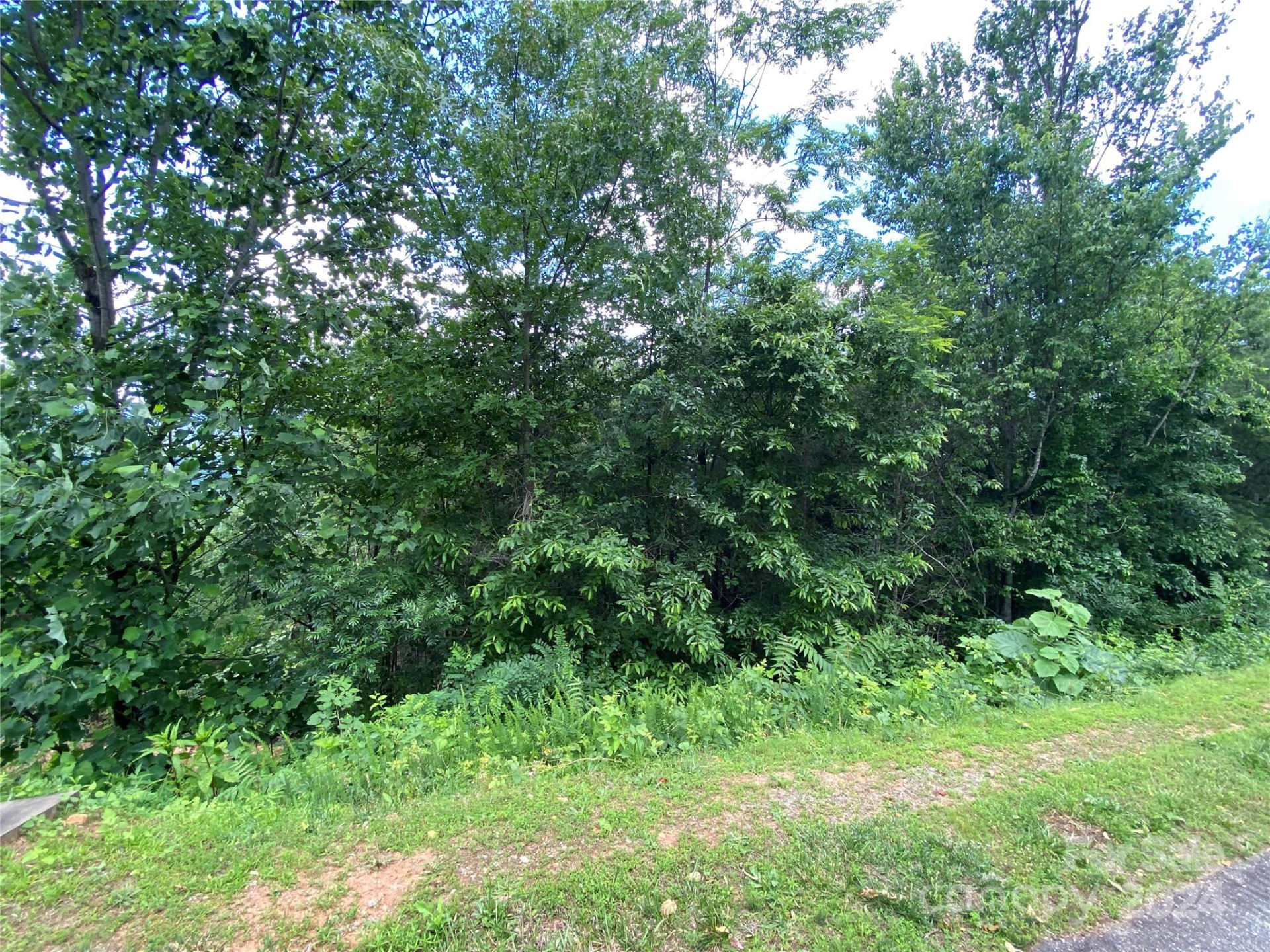 0 Golden Ridge Drive #133 - Photo 4